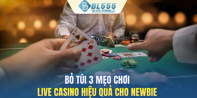 Bỏ túi 3 mẹo chơi Live Casino hiệu quả cho newbie