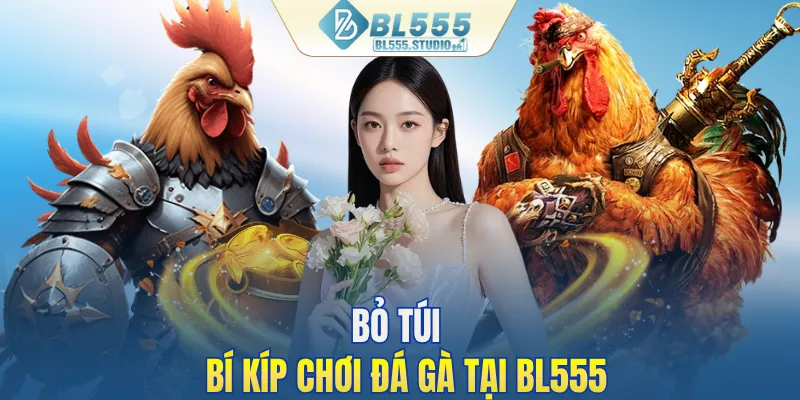 Bỏ túi bí kíp chơi đá gà tại BL555
