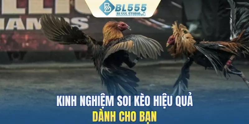 Kinh nghiệm soi kèo hiệu quả dành cho bạn
