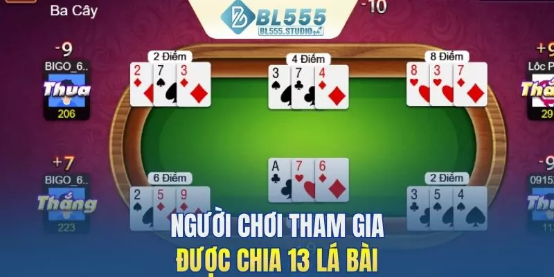 Người tham gia tiến lên miền Nam được chia 13 lá bài