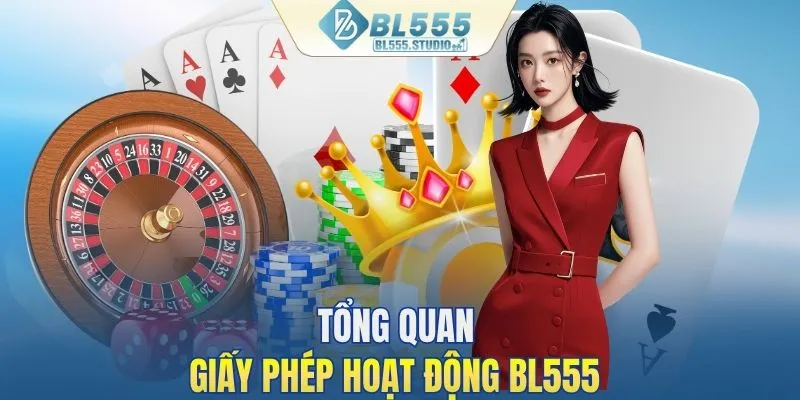 Tổng quan giấy phép hoạt động BL555